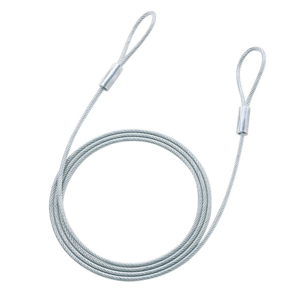 【SLE-8W-2N】サンワサプライ　eセキュリティ（2.0M4.6mm）