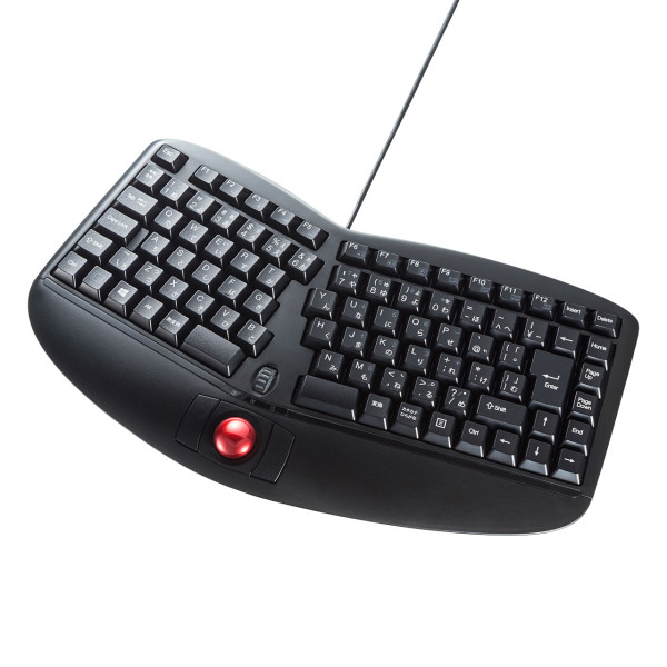 【SKB-ERG5BK】サンワサプライ　エルゴノミクスキーボード