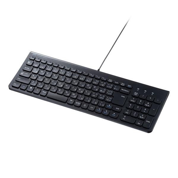 【SKB-SL31CBK】サンワサプライ　USB Type-Cスリムキーボード